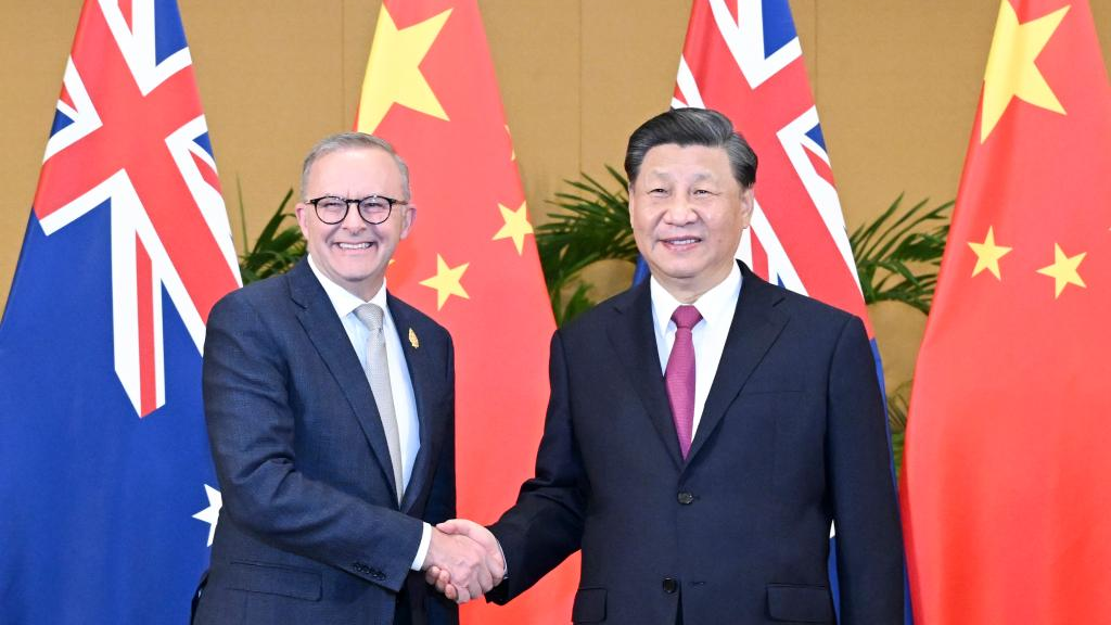 Chinese President Xi Jinping meets with Australian Prime Minister Anthony Albanese in Bali, Indonesia, November 15, 2022. /Xinhua