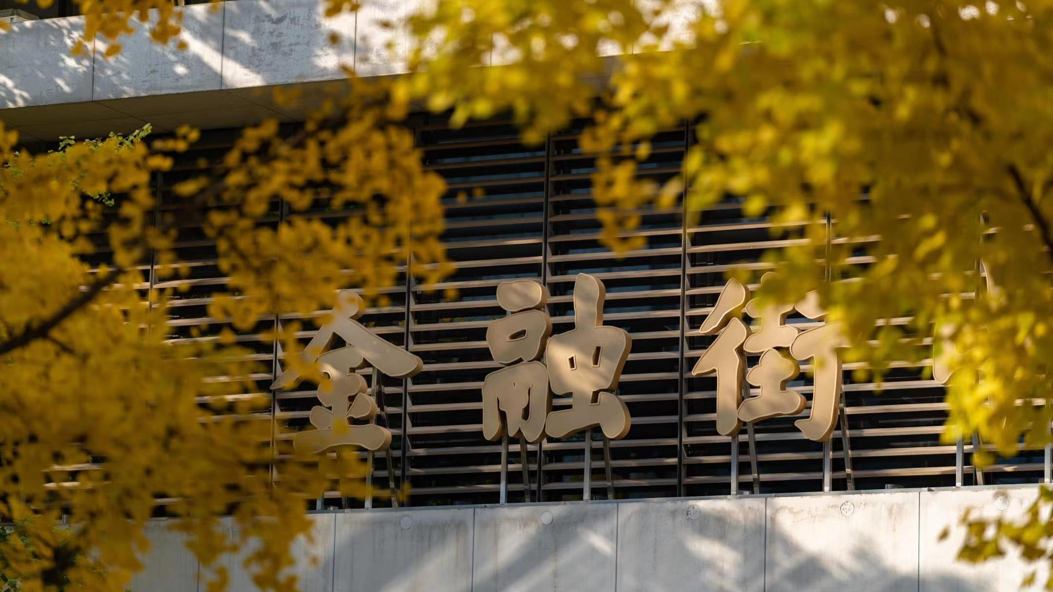 Golden ginkgo leaves in Beijing's financial center