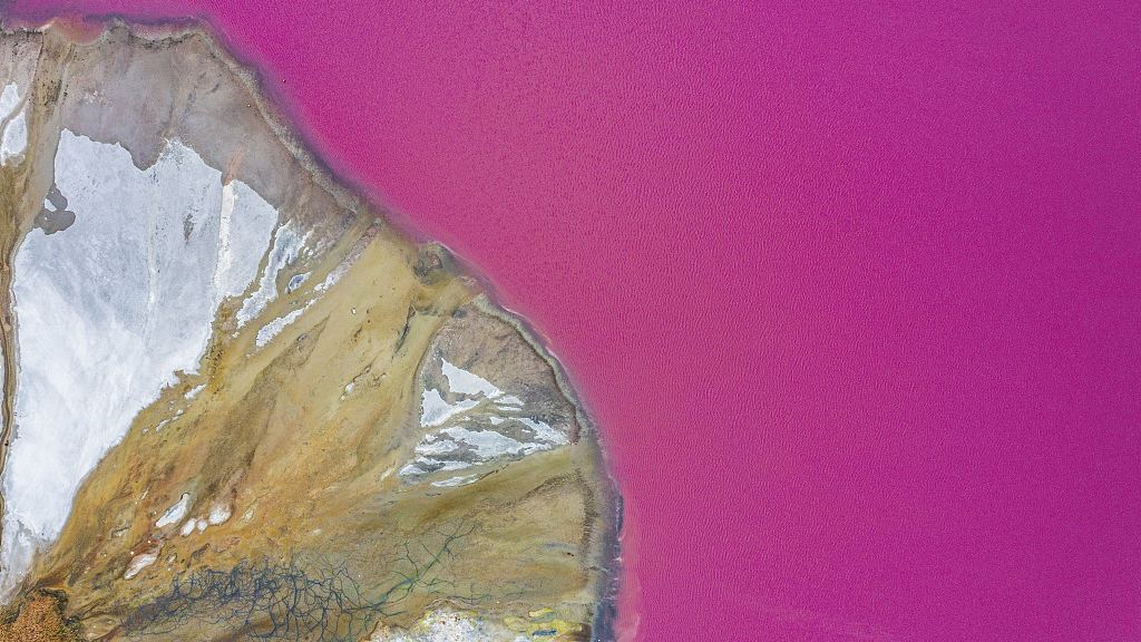 Amazing natural 'palette' Yungcheng Salt Lake turns vibrant      