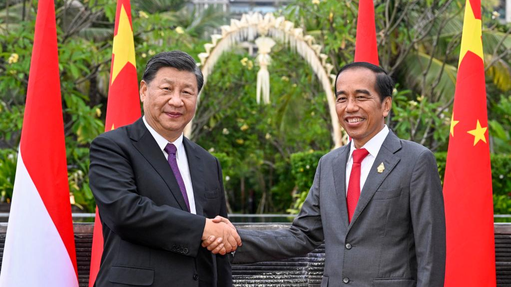 Chinese President Xi Jinping holds talks with Indonesian President Joko Widodo in Bali, Indonesia, November 16, 2022. /Xinhua