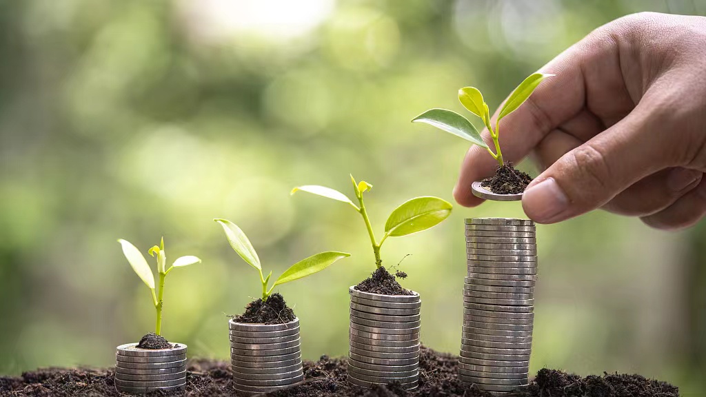 Beijing's first 'green bank' issuing loans to support carbon goals