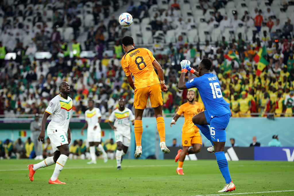 Cody Gakpo  (#8) of the Netherlands scores a header in the FIFA World Cup game against Senegal at Al Thumama Stadium in Doha, Qatar, November 21, 2022. /CFP 