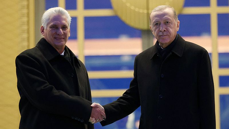 Turkish President Recep Tayyip Erdogan (R) and Cuban President Miguel Diaz-Canel shake hands during a welcoming ceremony at the Presidential Palace in Ankara, Türkiye, November 23, 2022. /CFP