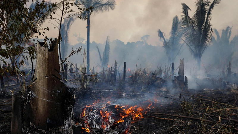 View of a burnt of the Amazonia rainforest in Brazil, September 21, 2022. /CFP 