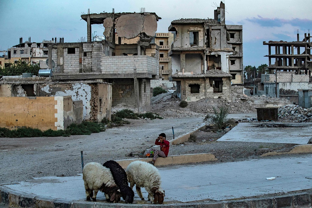 A Syrian boy sits near sheep in front of heavily damaged buildings in the northern Syrian city of Raqa, August 11, 2021. /CFP