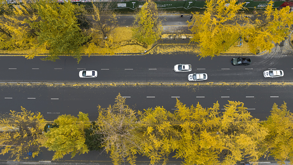 Cars on an urban street in Dujiangyan, Chengdu City, southwest China's Sichuan Province, November 28, 2022. /CFP