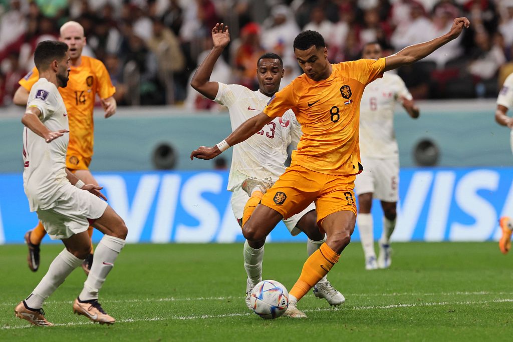 Cody Gakpo (#8) of the Netherlands shoots to score in the FIFA World Cup game against Qatar at the Al-Bayt Stadium in Qatar, November 29, 2022. /CFP