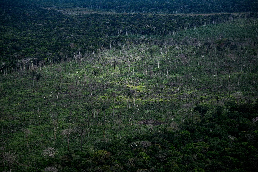 Aerial view showing a deforested area of the Amazon rainforest seen during a flight between Manaus and Manicore, Amazonas state, Brazil, June 6, 2022. /CFP