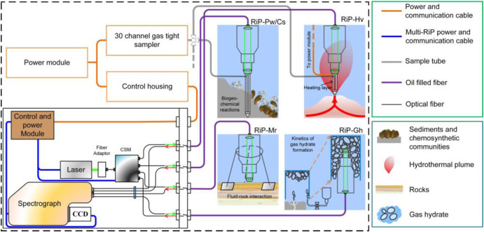 Schematic diagram of the conceptual design of Multi-RiPs and its application model for in-situ detection in deep-sea cold seeps and hydrothermal vents. /Institute of Oceanology, CAS