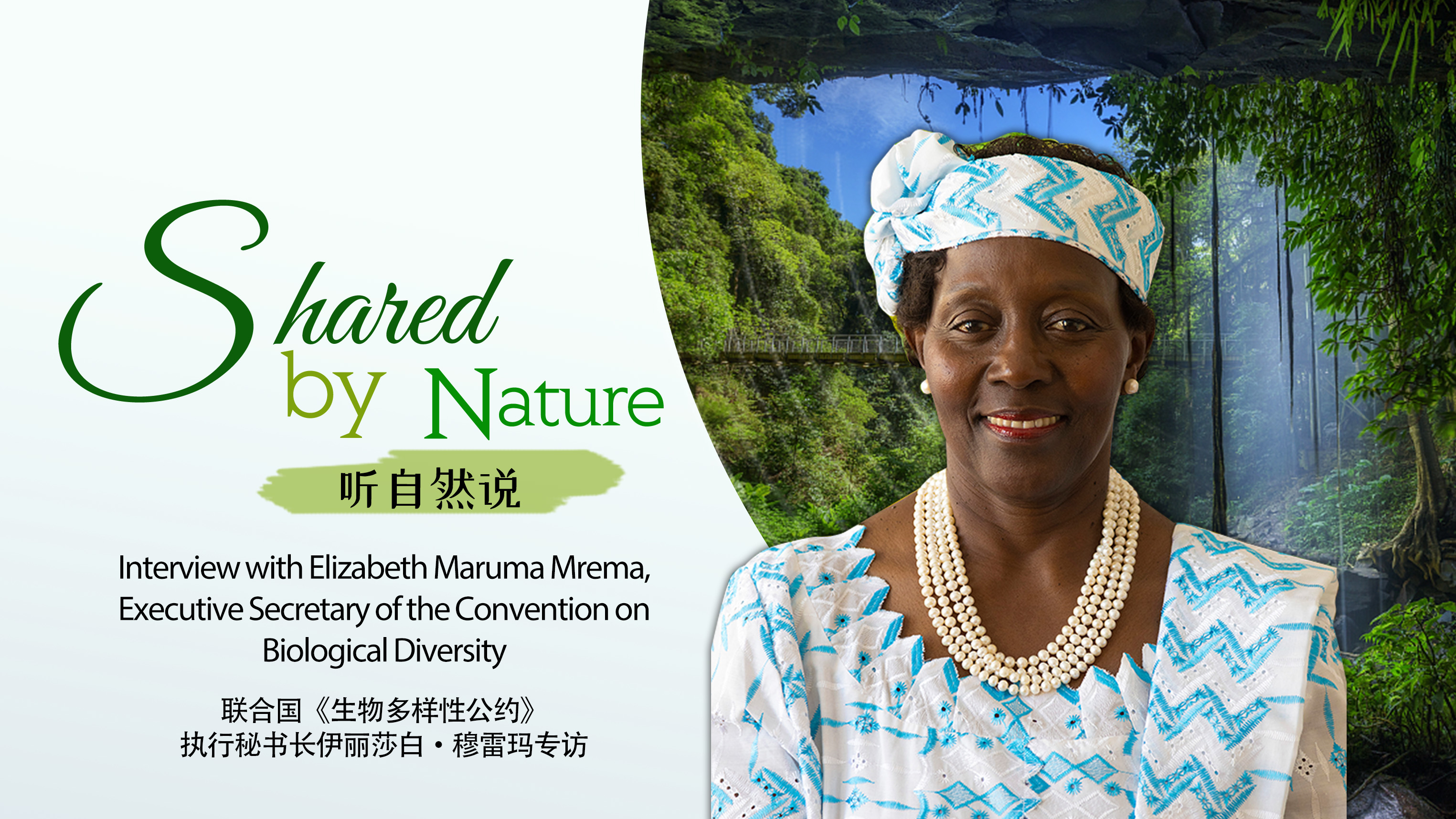 Shared by Nature: Looking forward to China sharing its experience during COP15