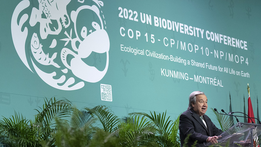 UN Secretary-General Antonio Guterres addresses the opening ceremony of COP15 at Plenary Hall of Montreal Convention Centre in Montreal, Quebec, Canada, December 7, 2022. /VCG