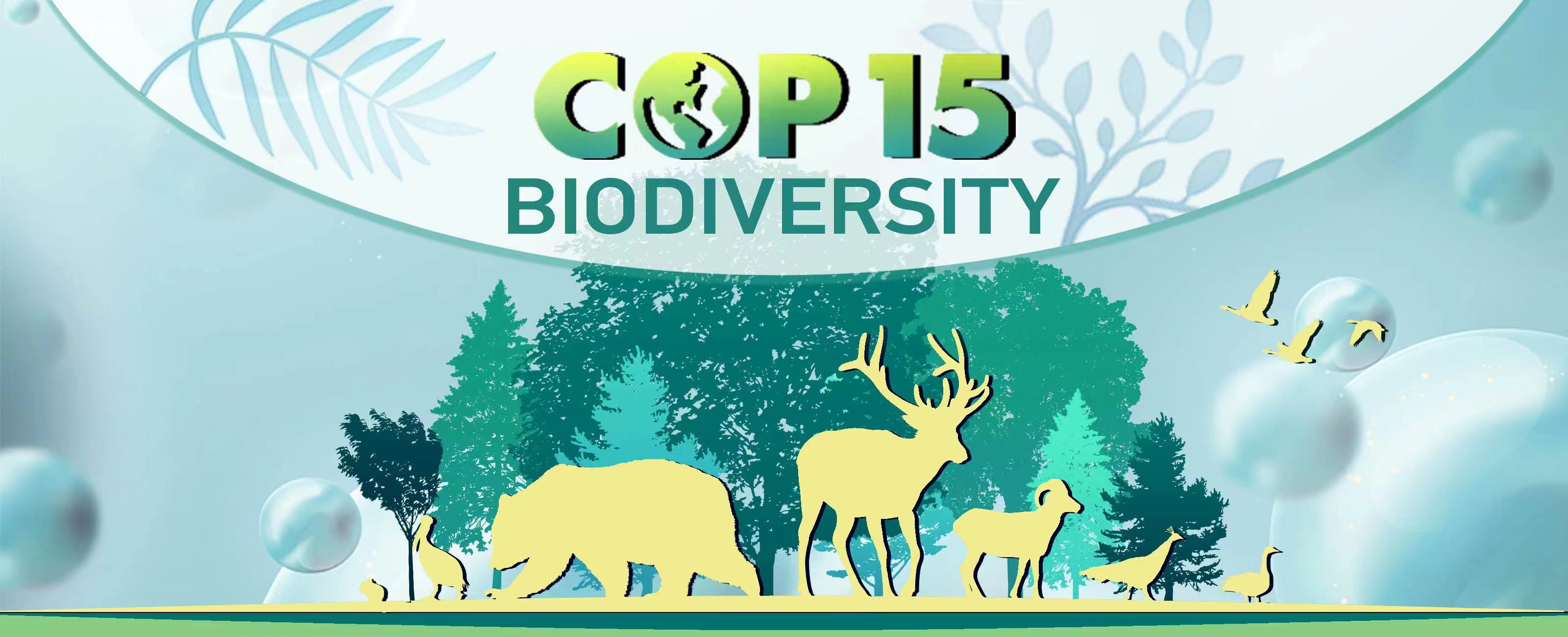 COP15 