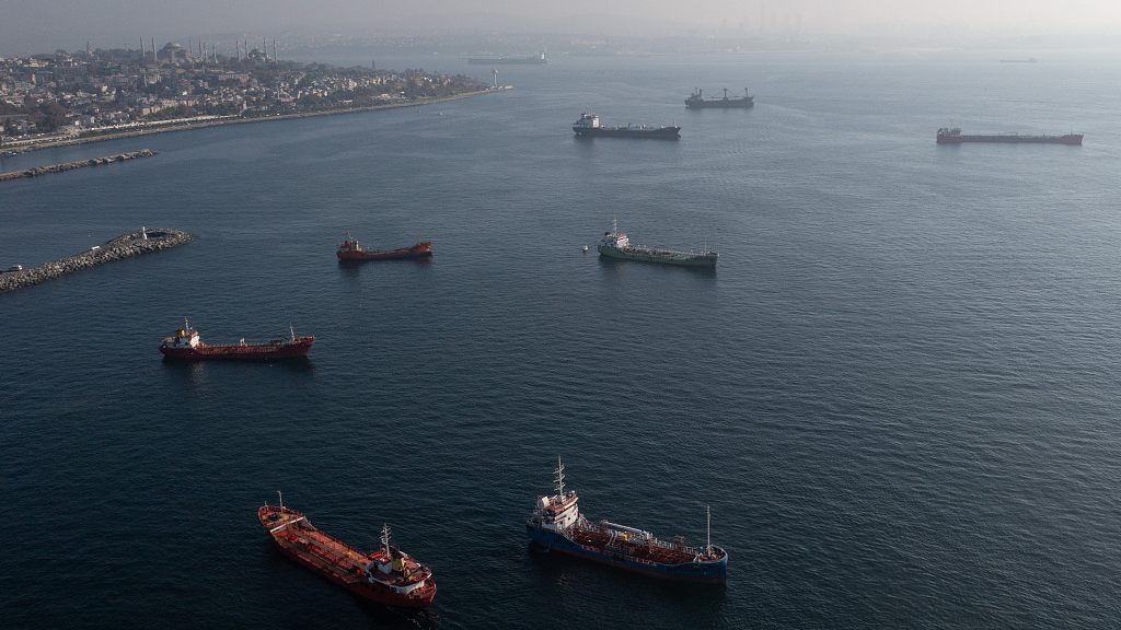 Ships, including those carrying grain from Ukraine and awaiting inspections, are seen anchored off the Istanbul coastline in Istanbul, Türkiye, November 2, 2022. /CFP