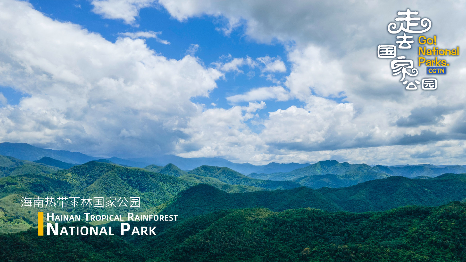 Go! Hainan Tropical Rainforest National Park