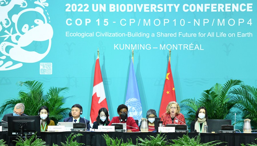 The opening ceremony of the second phase of the 15th meeting of the Conference of the Parties to the UN Convention on Biological Diversity in Montreal, Canada, December 7, 2022. /Xinhua