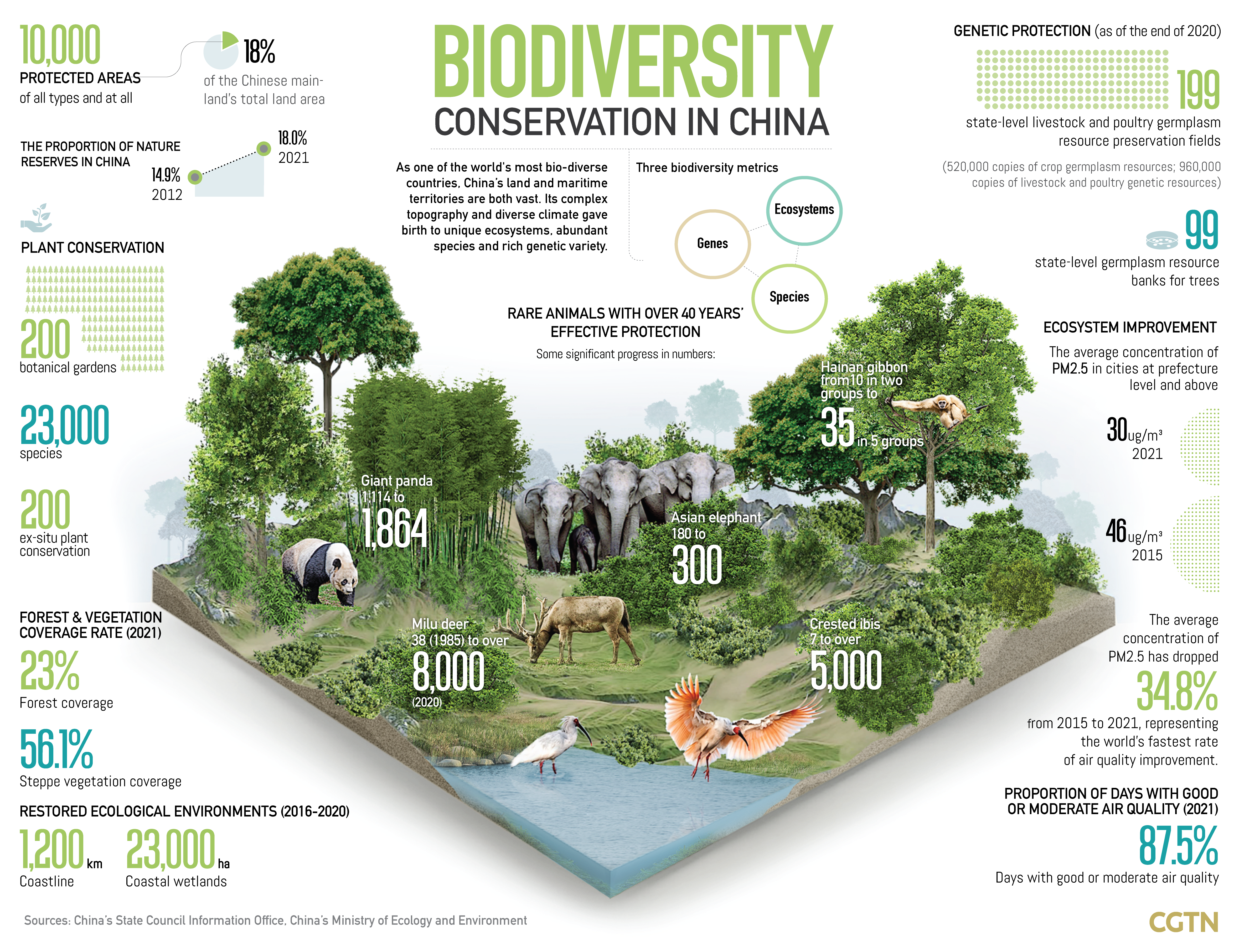 Graphics: China to implement biodiversity targets