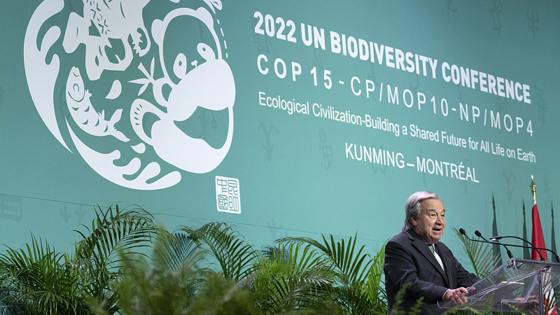UN Secretary-General Antonio Guterres addresses the opening ceremony of COP15, Montreal, Canada, December 6, 2022. /CFP 