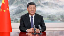 COP15: Xi Jinping calls for 'solidarity' to protect biodiversity