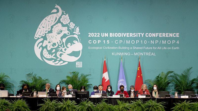 China hosts the ongoing high-level segment of the second part of COP15 in Montreal, Canada. /CFP