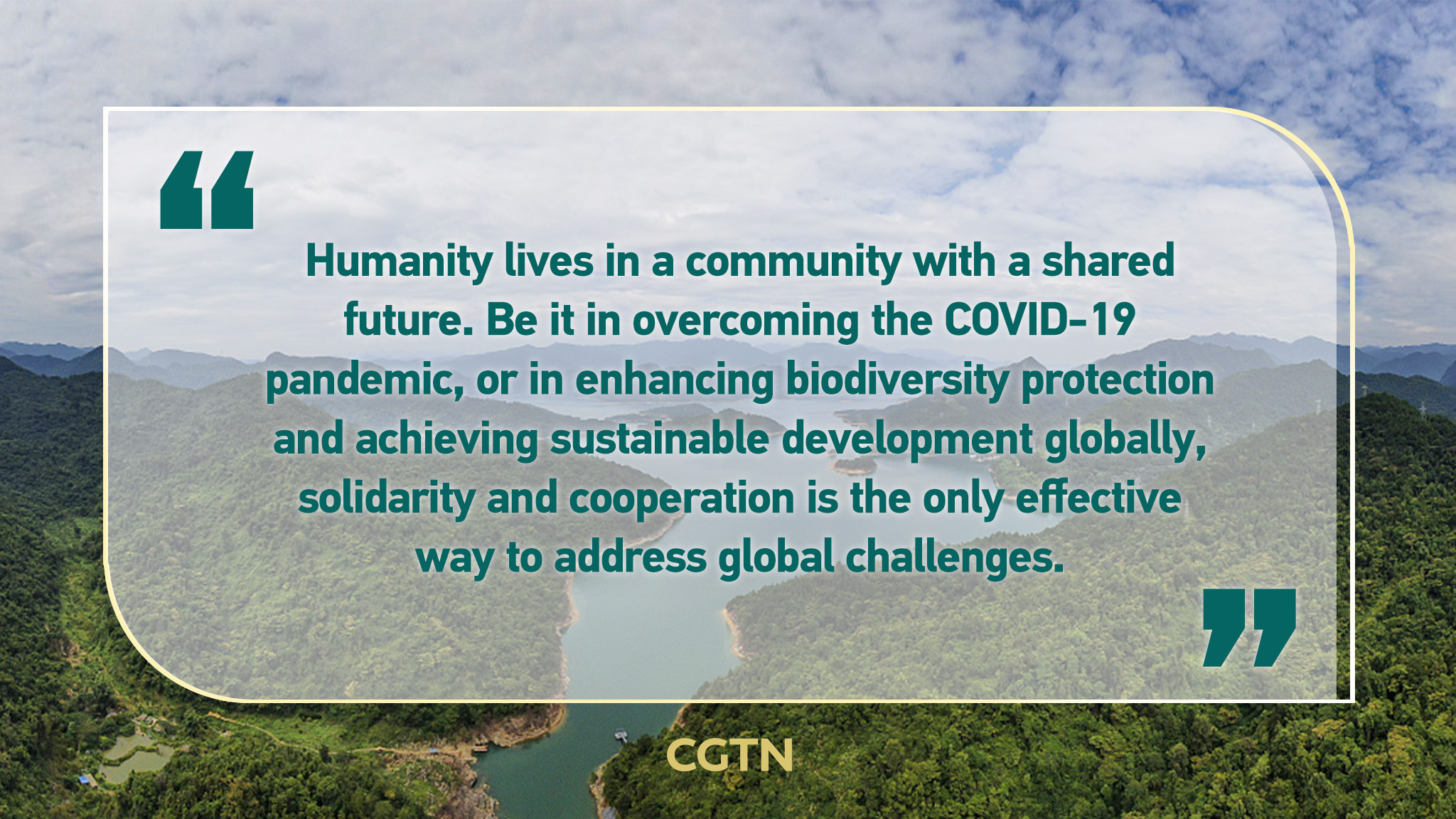 Key quotes from Xi Jinping at opening ceremony of high-level segment of COP15 part 2