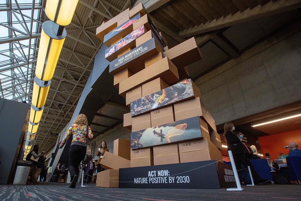 A person walks by a giant jenga game at the second phase of the 15th meeting of the Conference of the Parties to the United Nations Convention on Biological Diversity in Montreal, Canada, December 15, 2022. /CFP
