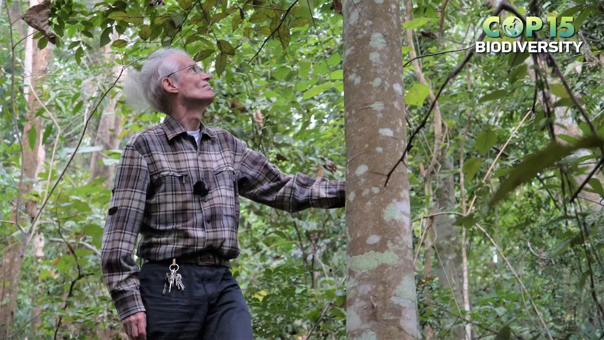 Live: Visiting the rainforest recreated by former Swiss diplomat in SW China