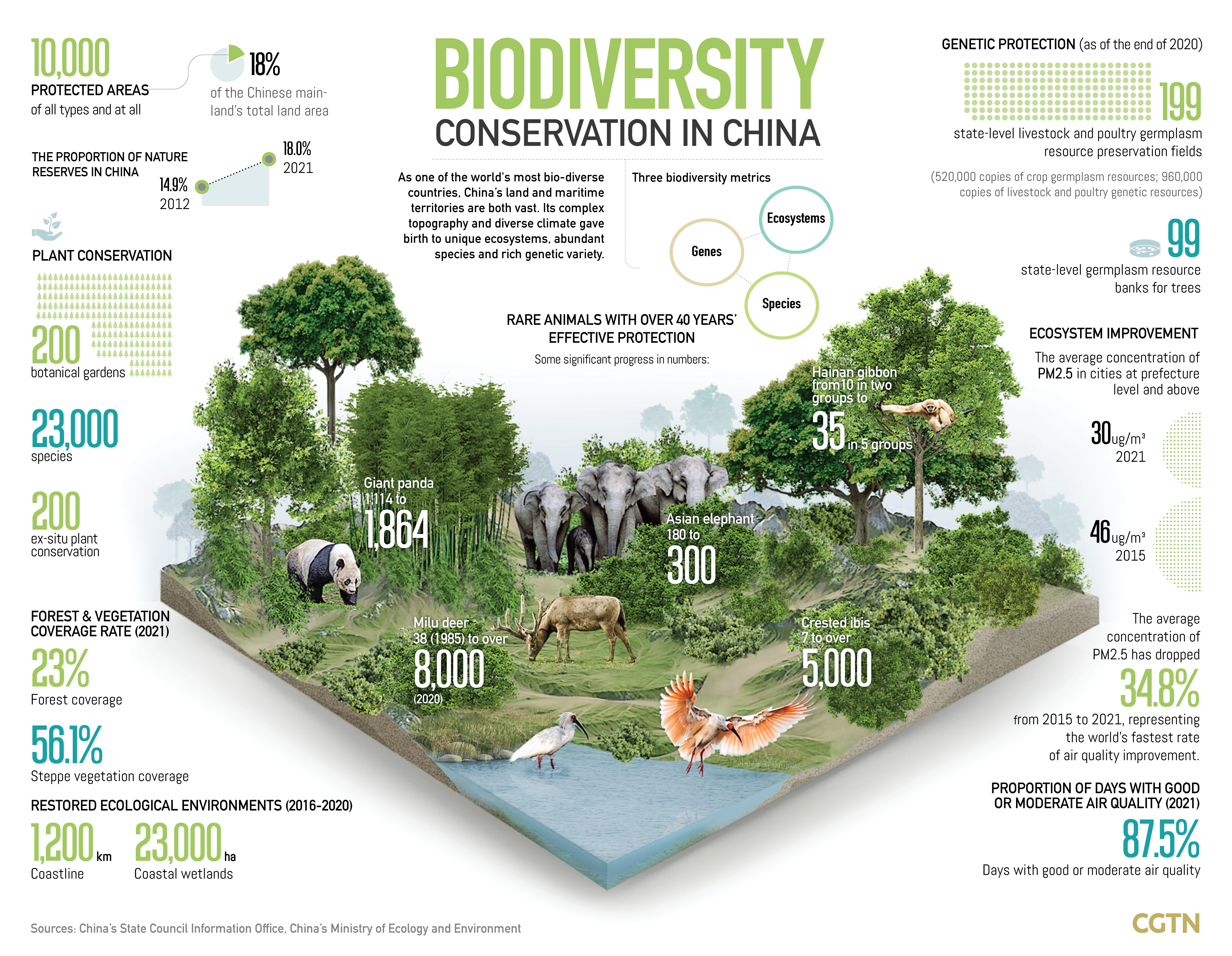 China to continue promoting the adoption of 'post-2020 biodiversity framework'