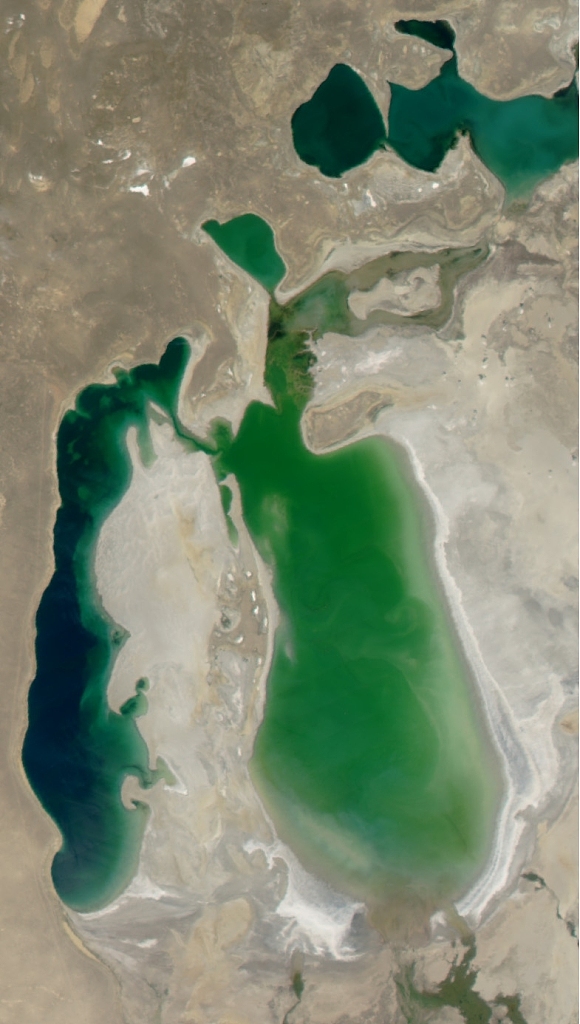 Nasa 'Aqua' satellite image of the Aral Sea in August 2003. /CFP