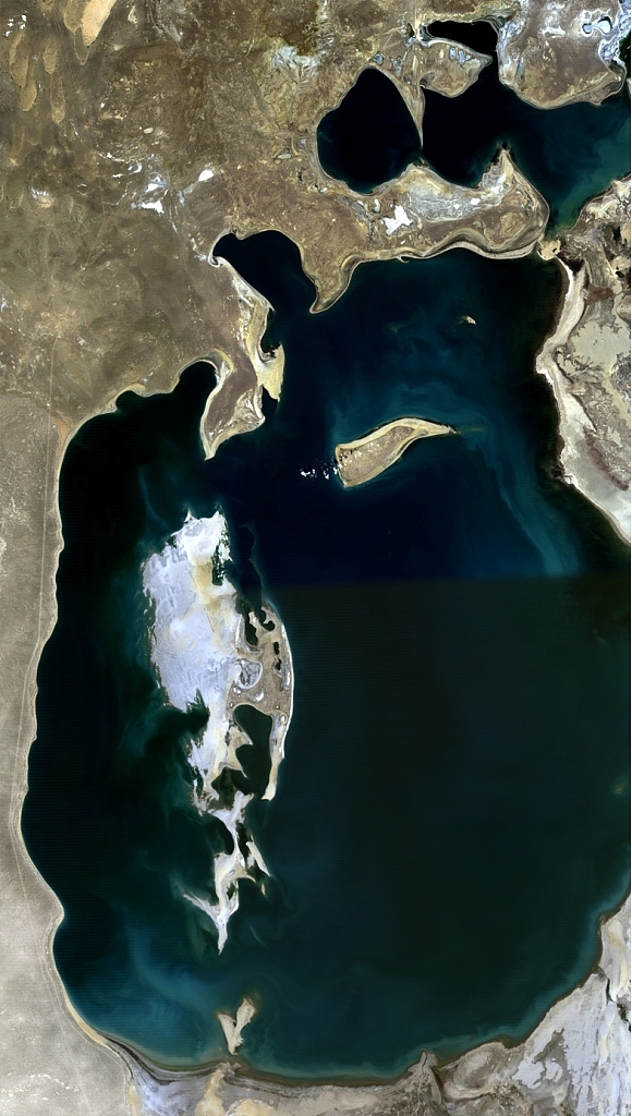 A composite satellite image of the Aral Sea was made possible by combining six scenes captured between July and September 1989 by the Landsat 4 satellite. /CFP