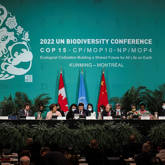 Historic Biodiversity Framework Reached At COP15, China Plays Key Role ...