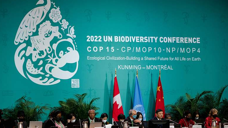 The opening ceremony of the second phase of the 15th meeting of the Conference of the Parties to the UN Convention on Biological Diversity (COP15) in Montreal, Canada, December 7, 2022. /Xinhua
