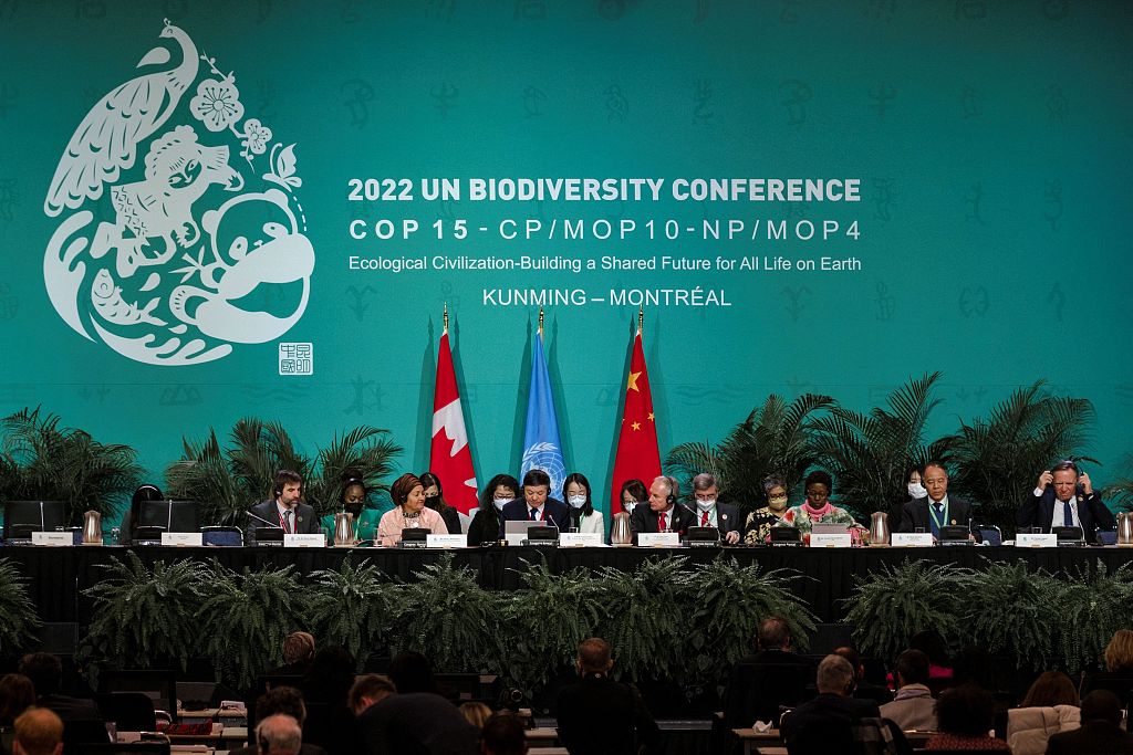 The second part of the 15th meeting of the Conference of the Parties (COP15) to the UN Convention on Biological Diversity takes place in Montréal, Canada. /VCG