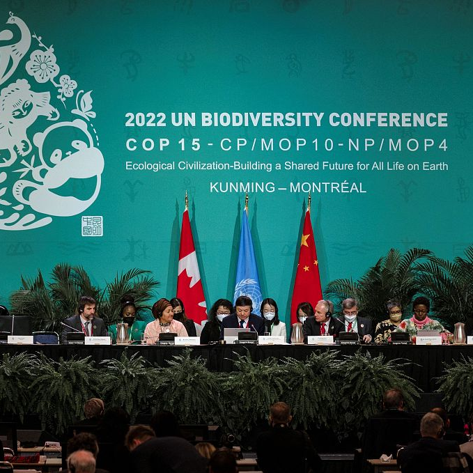 Draft UN Deal On Biodiversity Calls For Increasing Aid For Developing ...