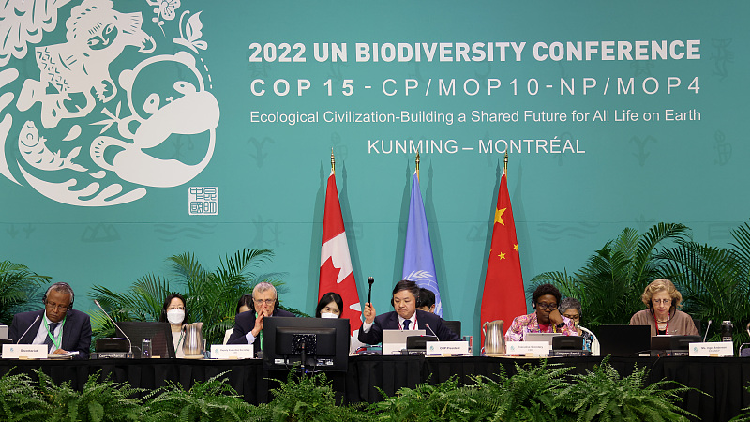 Kunming-Montreal biodiversity deal is a tremendous achievement - CGTN