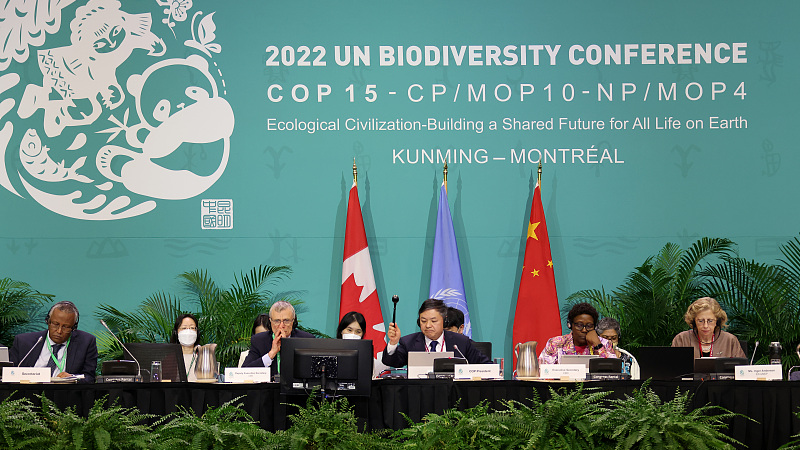 Kunming-Montreal Global Biodiversity Framework was adopted at the COP15, Montreal, Canada, December 19, 2022. /CFP