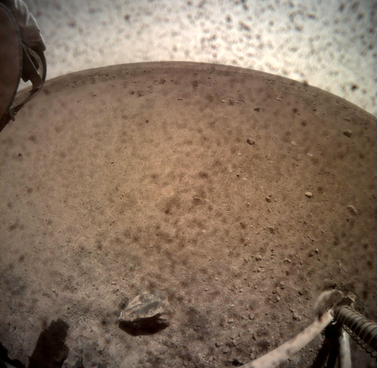 An image acquired by NASA's InSight Mars lander shows the area in front of the lander using its lander-mounted, Instrument Context Camera (ICC) on Mars November 30, 2018. Image acquired November 30, 2018. /NASA