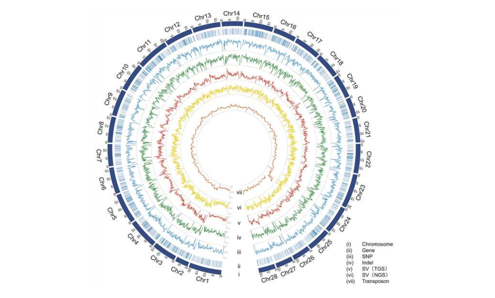 A super pan-genome map of the silkworm. /State Key Laboratory of Silkworm Genome Biology