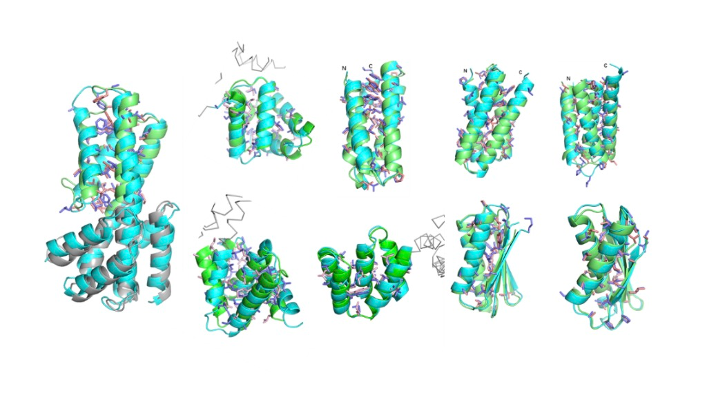 High-resolution crystal structure of the de novo protein (sky blue) compared with a design model (green). /USTC