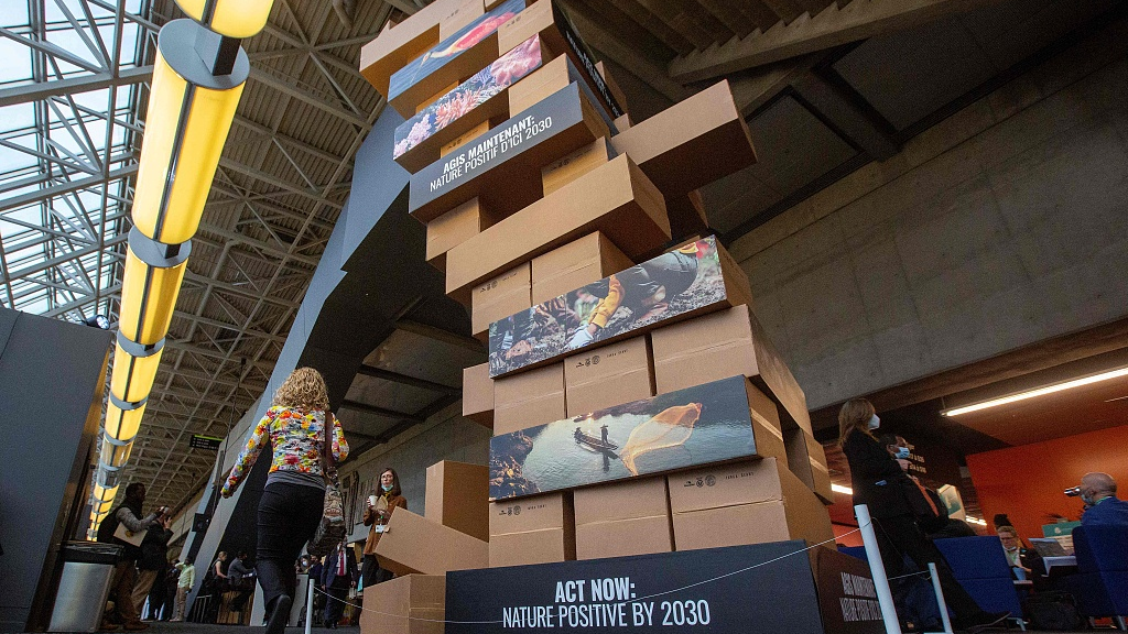 A person walks by a giant jenga game at the second part of the 15th Conference of the Parties to the UN Convention on Biological Diversity in Montreal, Canada, December 15, 2022. /CFP