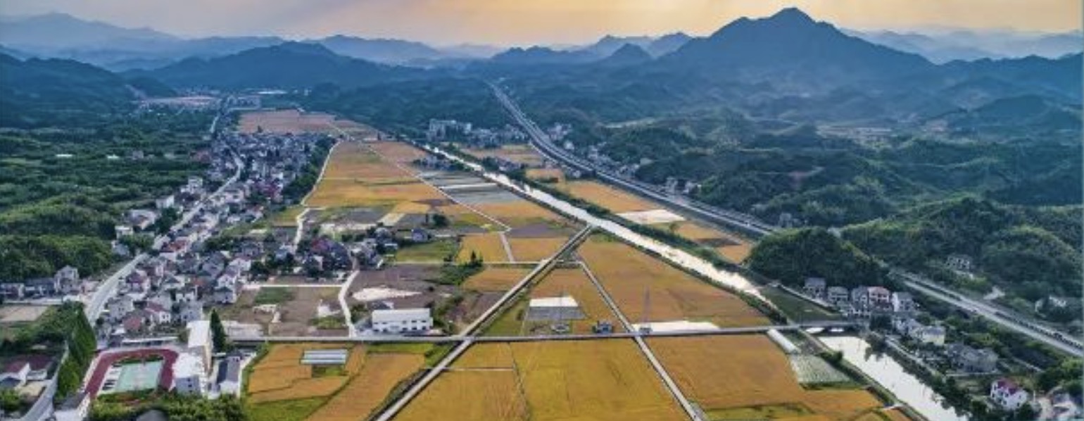 2022 is the final year of China's five-year rural vitalization strategy. /CMG