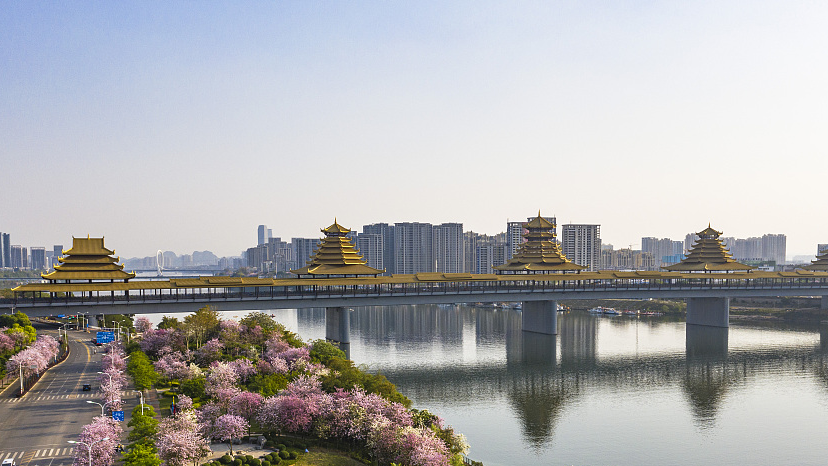 Live: Charming view of Fenghuangling Bridge in S China's Liuzhou