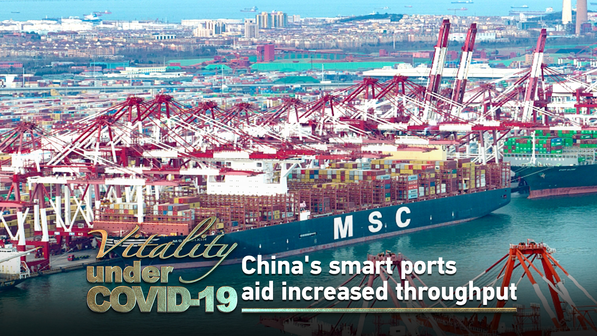 Vitality under COVID-19: China's smart ports aid increased throughput