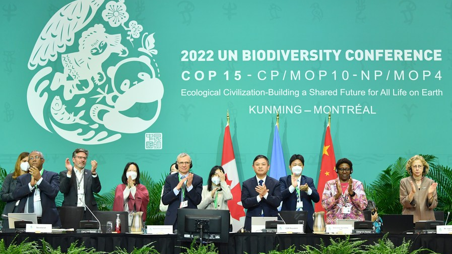 Huang Runqiu (4th R), COP15 president and China's minister of ecology and environment, and Elizabeth Maruma Mrema (2nd R), executive secretary of the UN Convention on Biological Diversity, applaud after the adoption of the Kunming-Montreal Global Biodiversity Framework during the second phase of COP15 in Montreal, Canada, December 19, 2022. /Xinhua