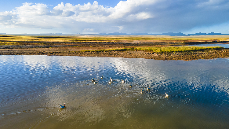 China Plans To Expand National Park System CGTN   F7c5955501d44d59b078bb1da757b17b 750 