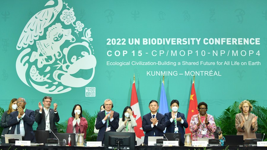 Delegates applaud after the adoption of the Kunming-Montreal Global Biodiversity Framework, in Montreal, Canada, December 19, 2022. /Xinhua
