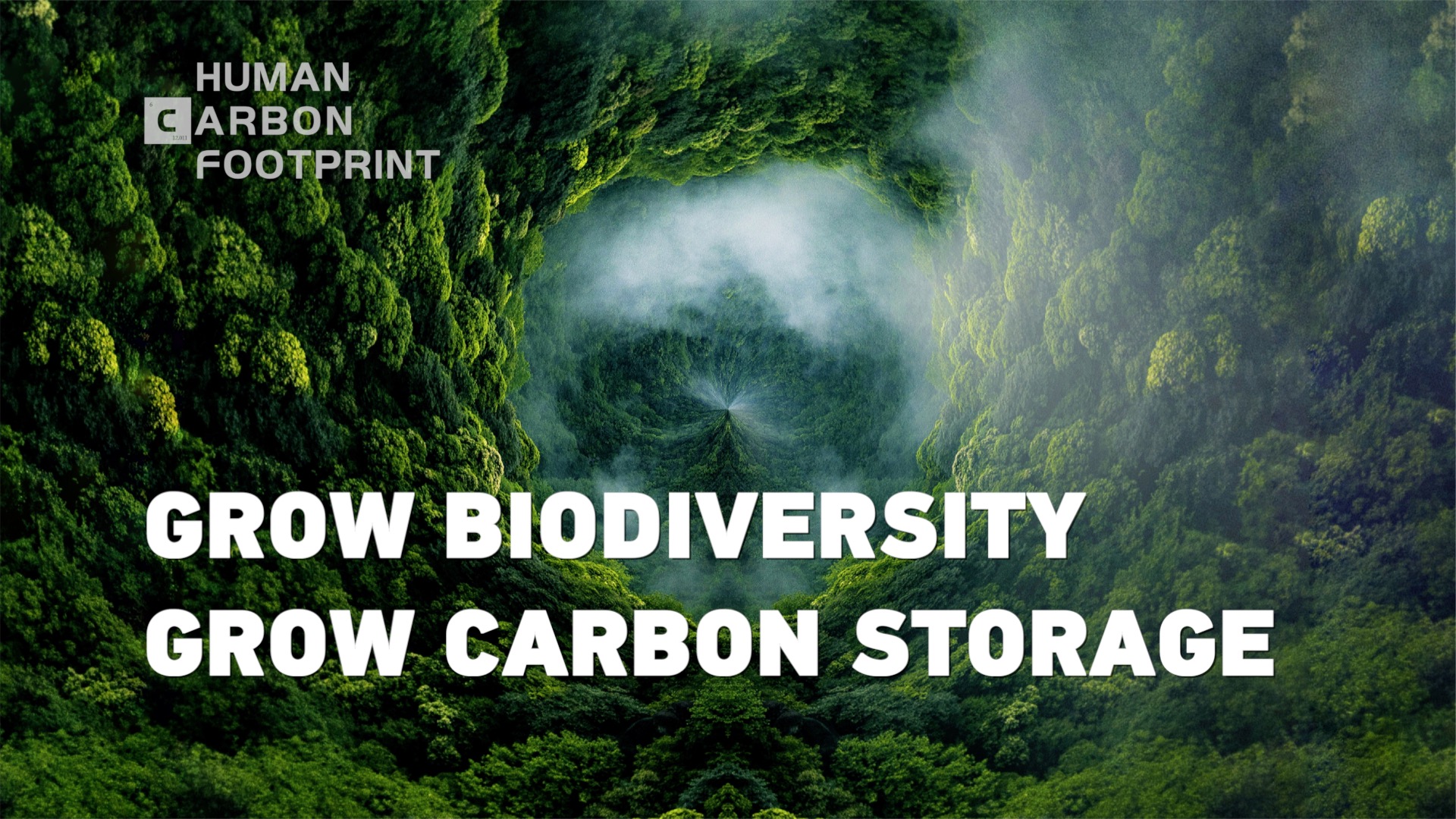 Human Carbon Footprint: How biodiversity helps increase carbon storage