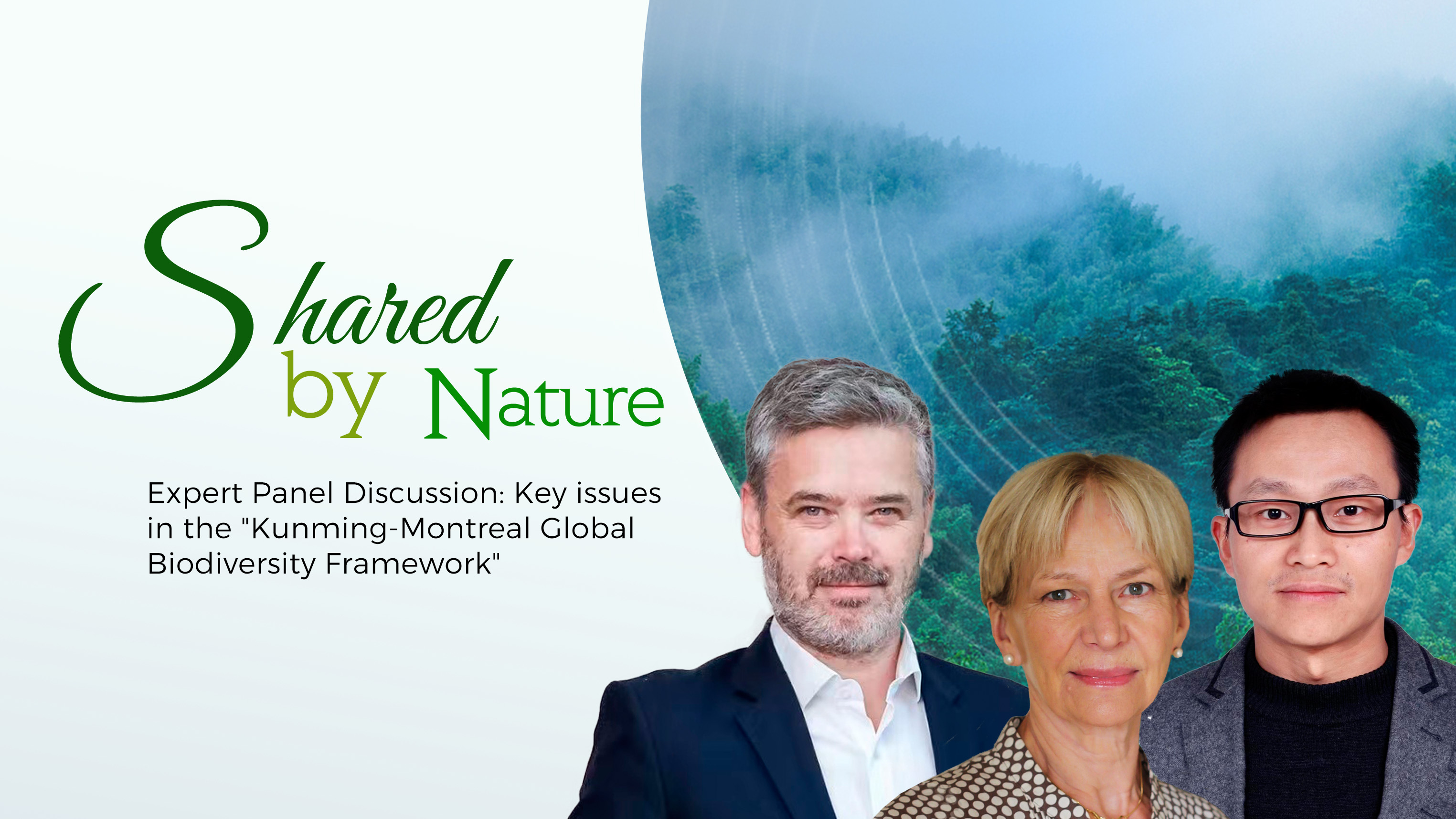 Biodiversity Framework: need for ambition and implementation