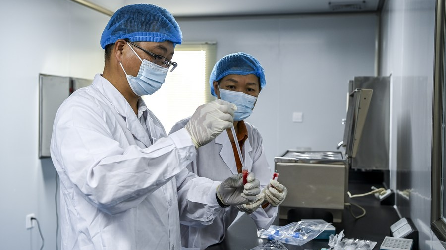 Technicians test a poultry blood specimen at a laboratory in Xingye County, south China's Guangxi Zhuang Autonomous Region, November 10, 2022. /Xinhua