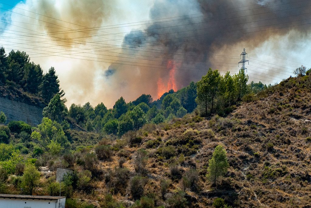 In Europe's severe heatwaves and drought, a total of 2,300 forest fires had burned a record 700,000 hectares in EU countries by mid-August 2022, the biggest amount since records began. /VCG