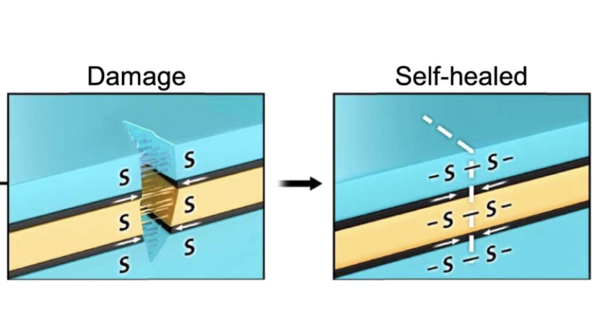 Demonstrative image of the new iontronic skin self-healing after damaged. /Nature